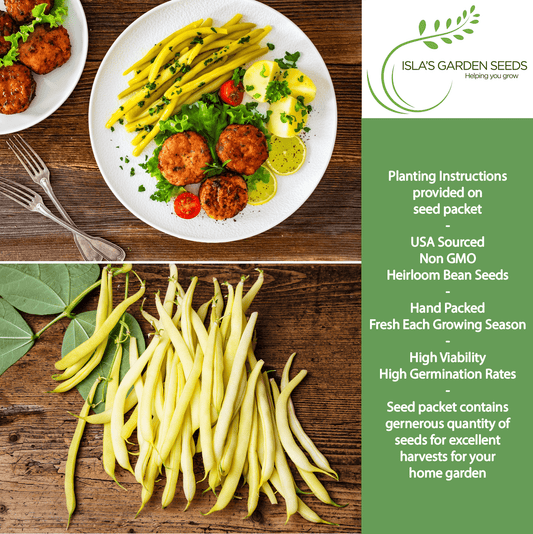Golden Wax Bush Beans | 50 Seeds/Pk