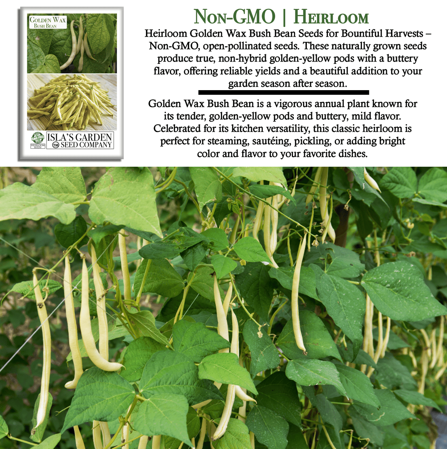Golden Wax Bush Beans | 50 Seeds/Pk
