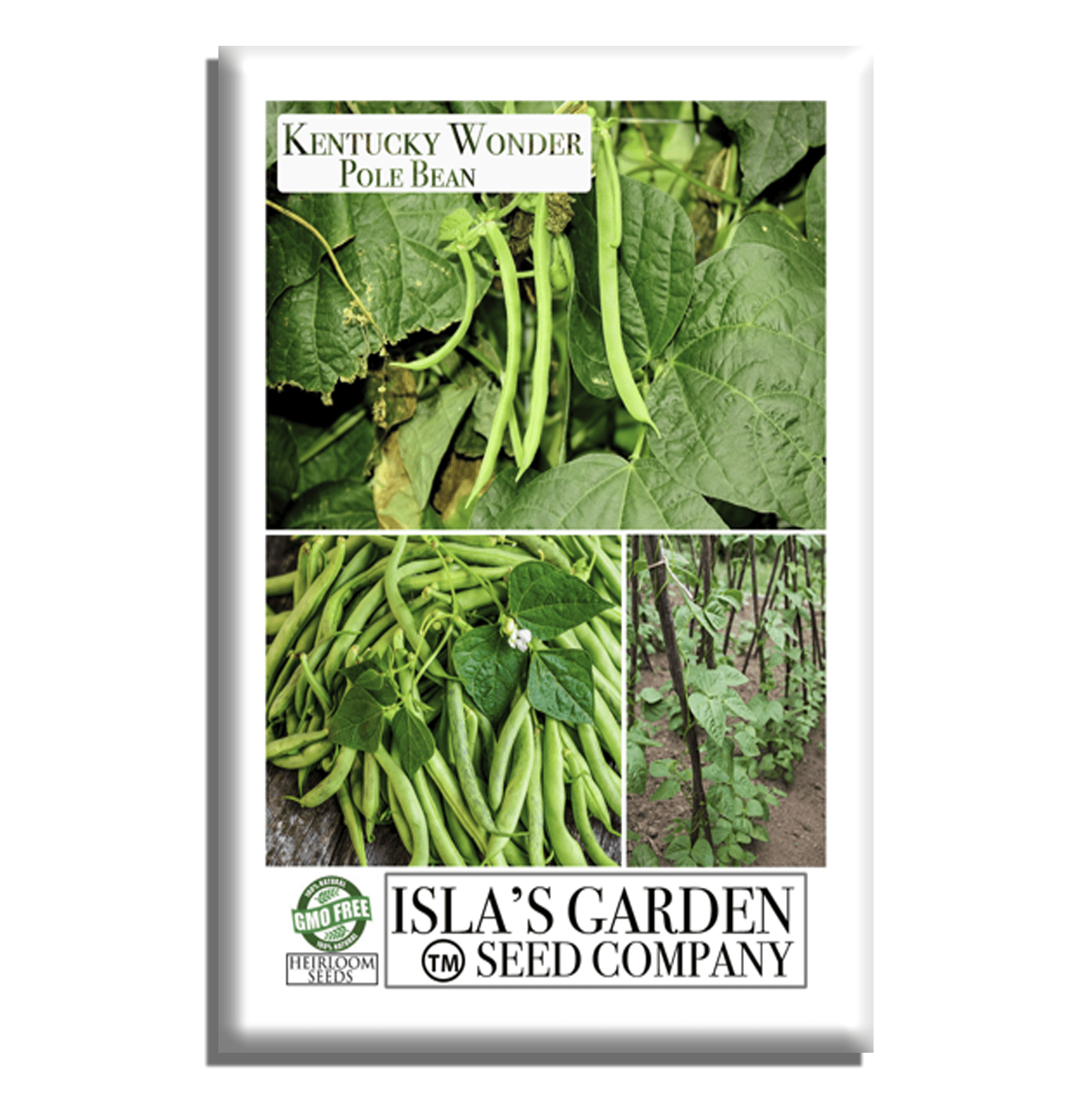 garden of eden pole bean seeds Kentucky Wonder Pole Beans