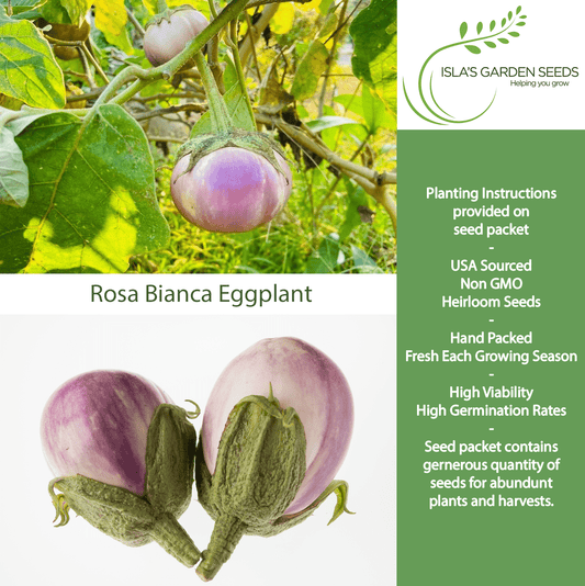 Rosa Bianca Eggplant, 100 Heirloom Seeds Per Packet