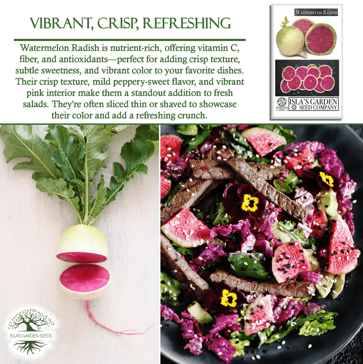 Watermelon Radish | 120 Seeds/Pk