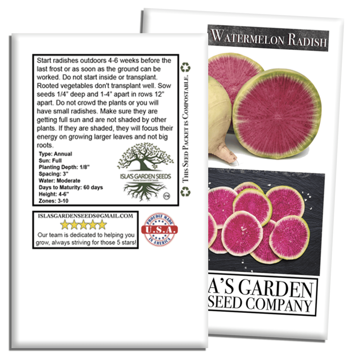 Watermelon Radish | 120 Seeds/Pk