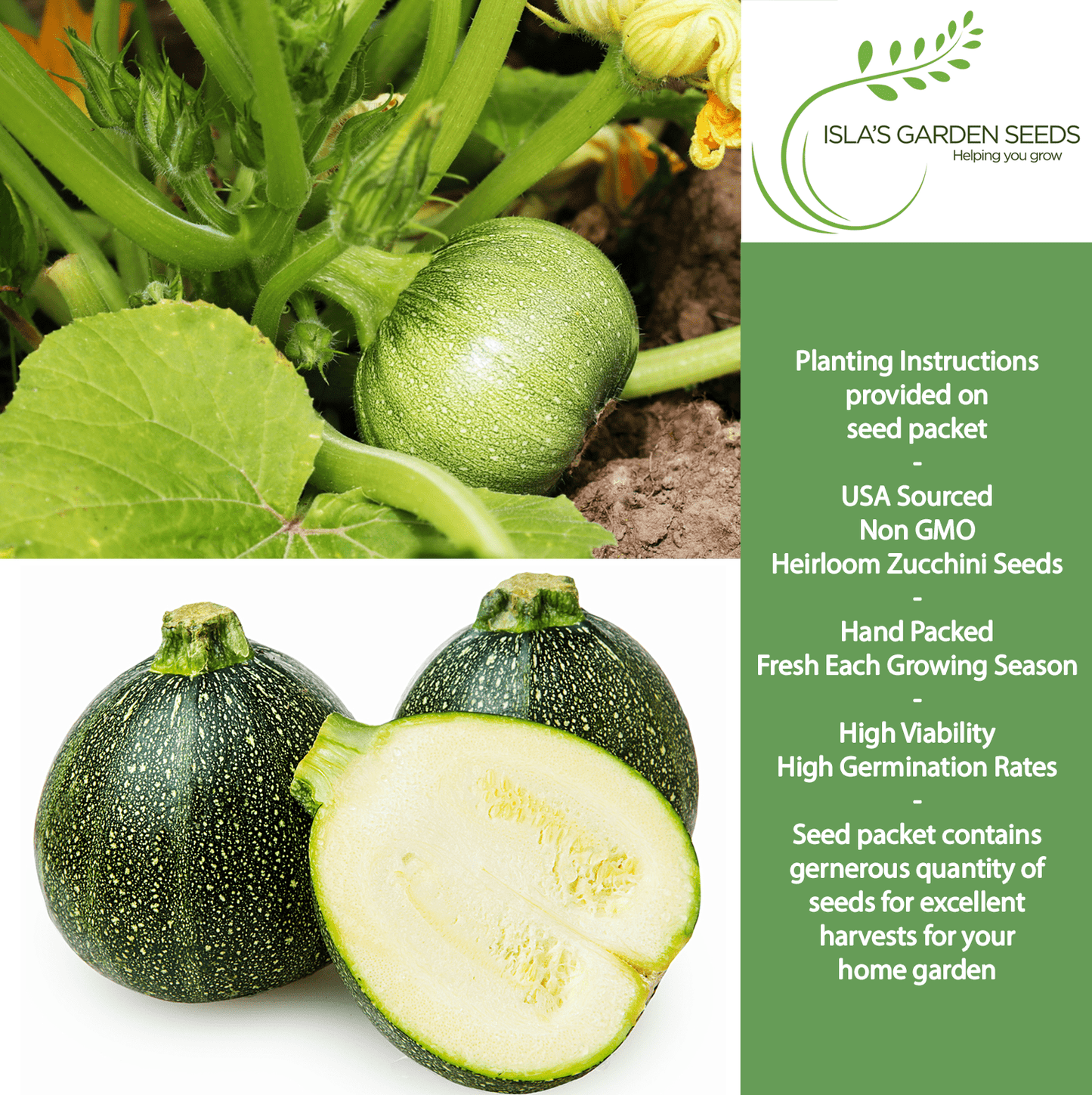 Round Zucchini Summer Squash | 40 Seeds/Pk