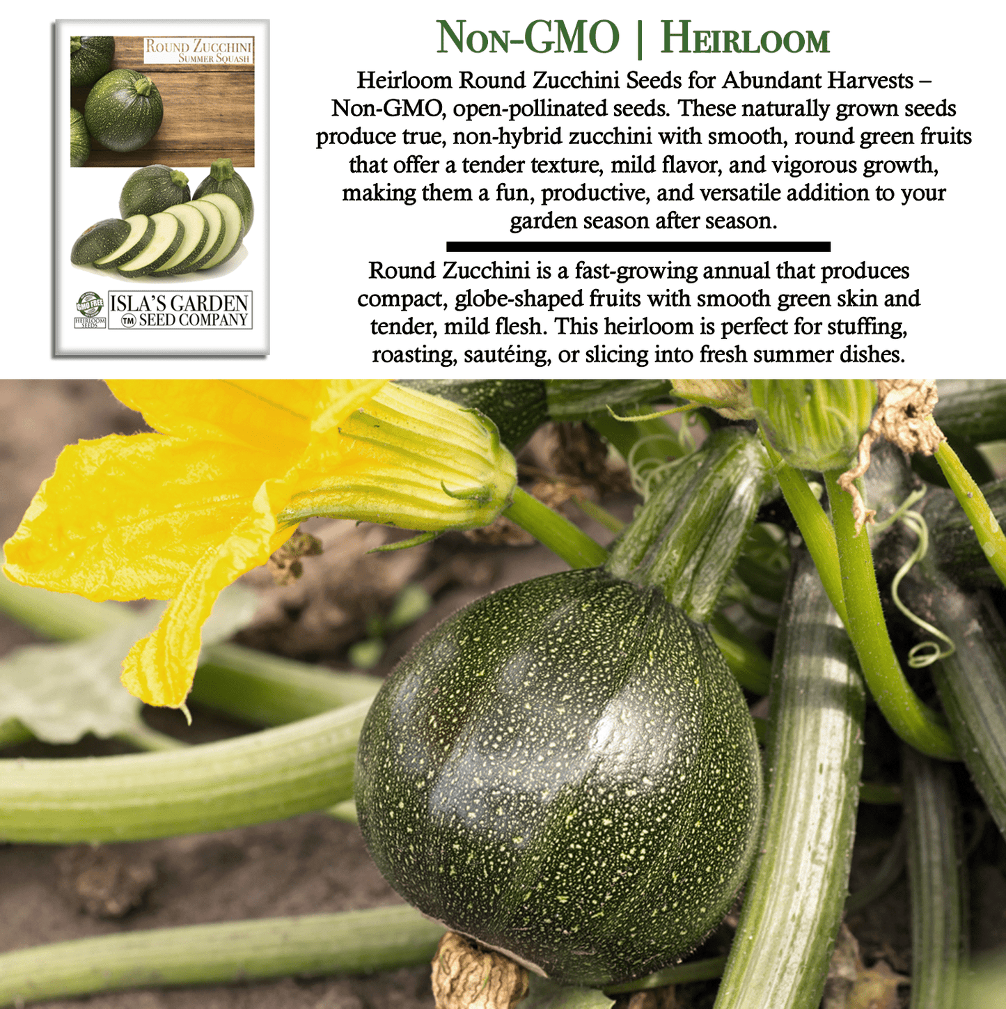 Round Zucchini Summer Squash | 40 Seeds/Pk