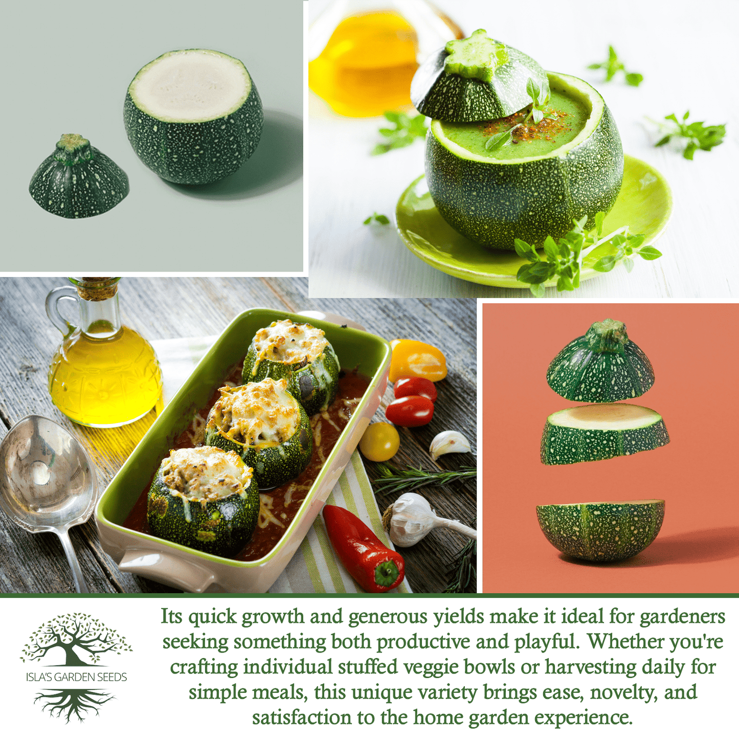 Round Zucchini Summer Squash | 40 Seeds/Pk