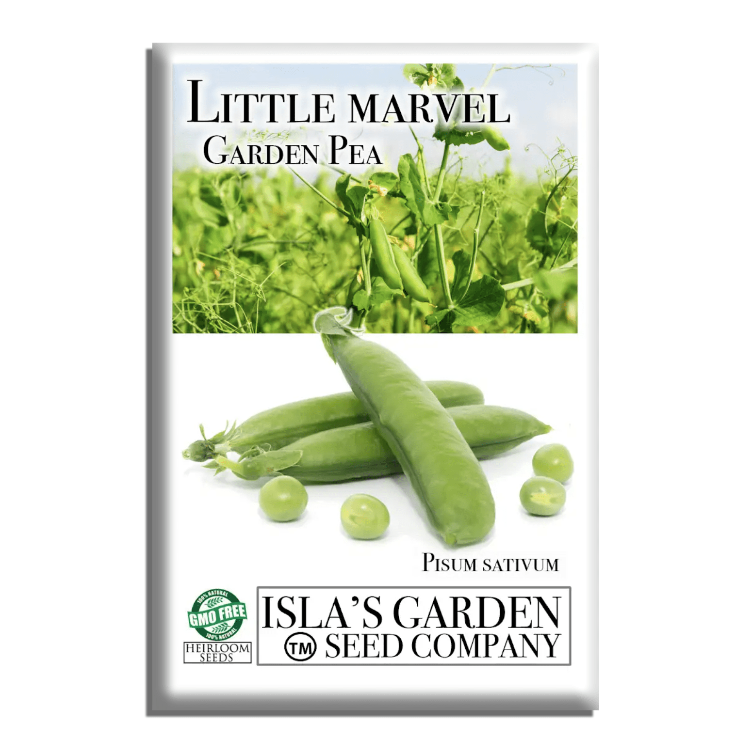 little garden seeds Little Marvel Pea Seeds, 50 Heirloom Seeds Per Packet, Non GMO Seeds