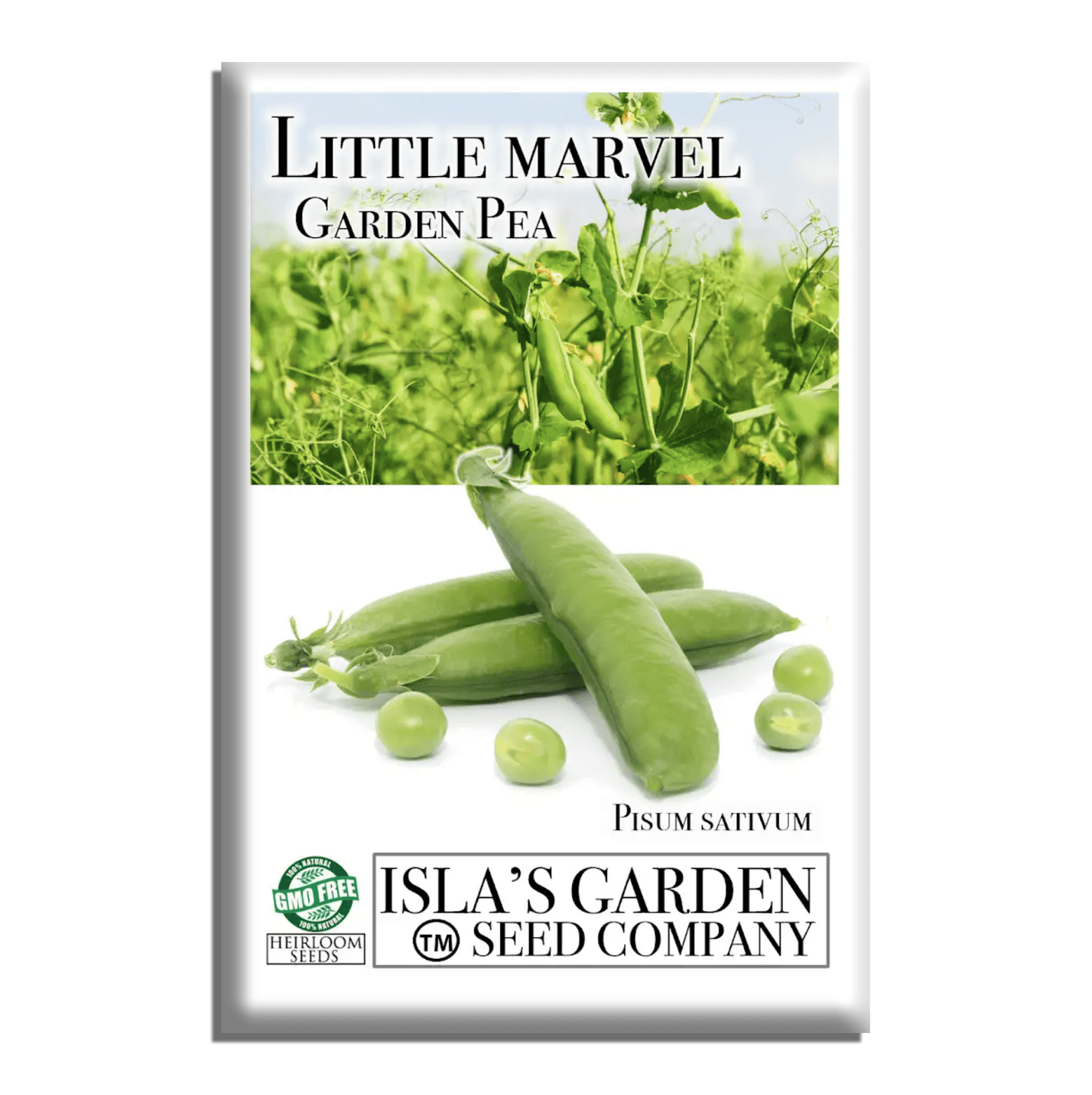 Little Marvel Pea | 50 Seeds/Pk