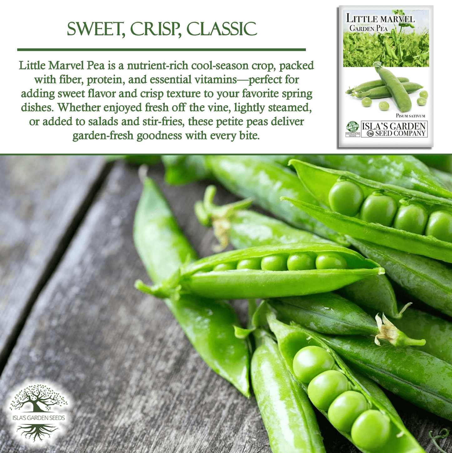 Little Marvel Pea | 50 Seeds/Pk