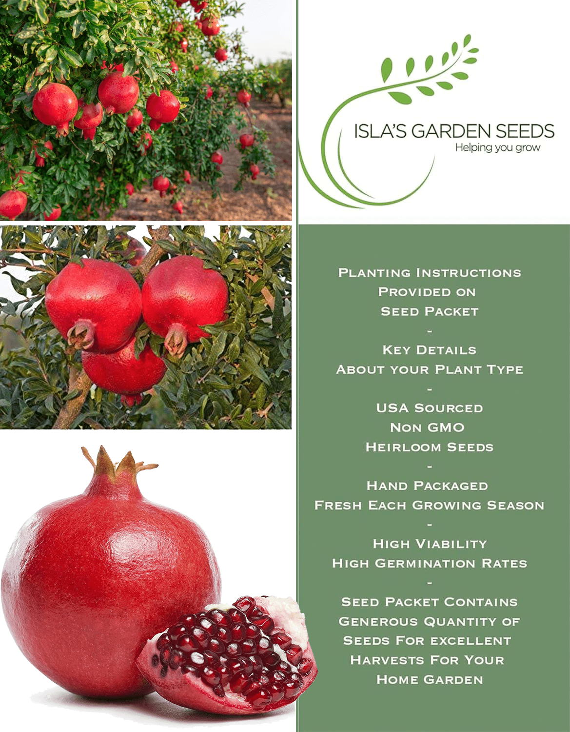 Pomegranate Tree Seeds | 30 Seeds/Pk