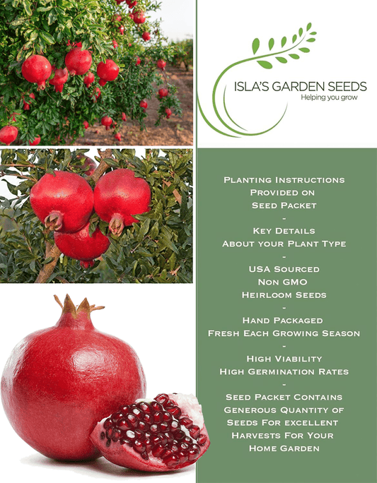 Pomegranate Tree Seeds | 30 Seeds/Pk