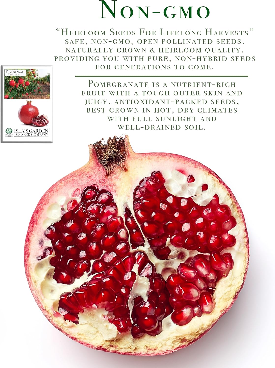 Pomegranate Tree Seeds | 30 Seeds/Pk