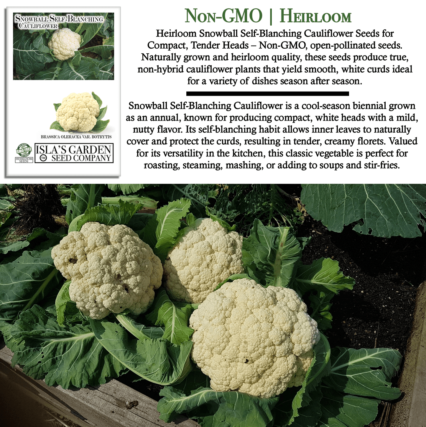 Snowball Self Blanching Cauliflower | 1,000 Seeds/Pk