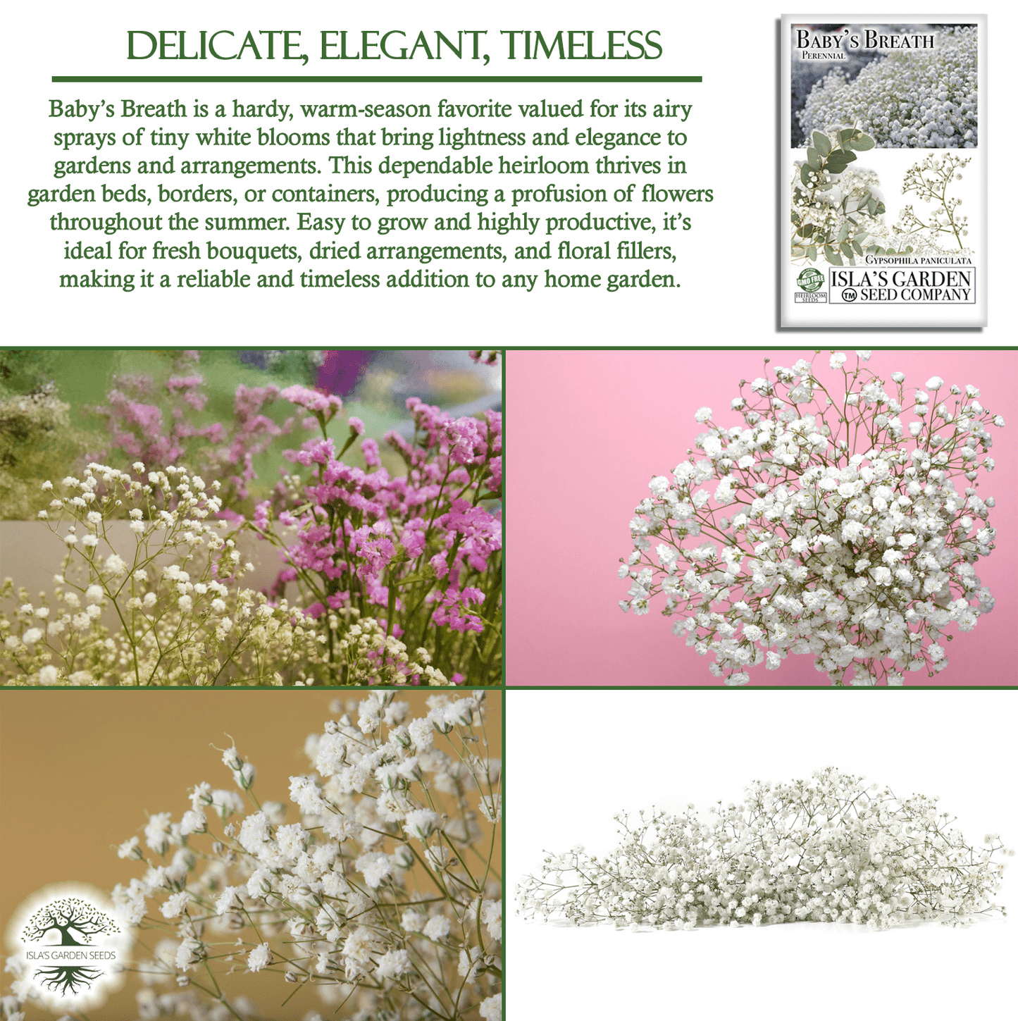 Baby’s Breath Flowers | 2000 Seeds/Pk