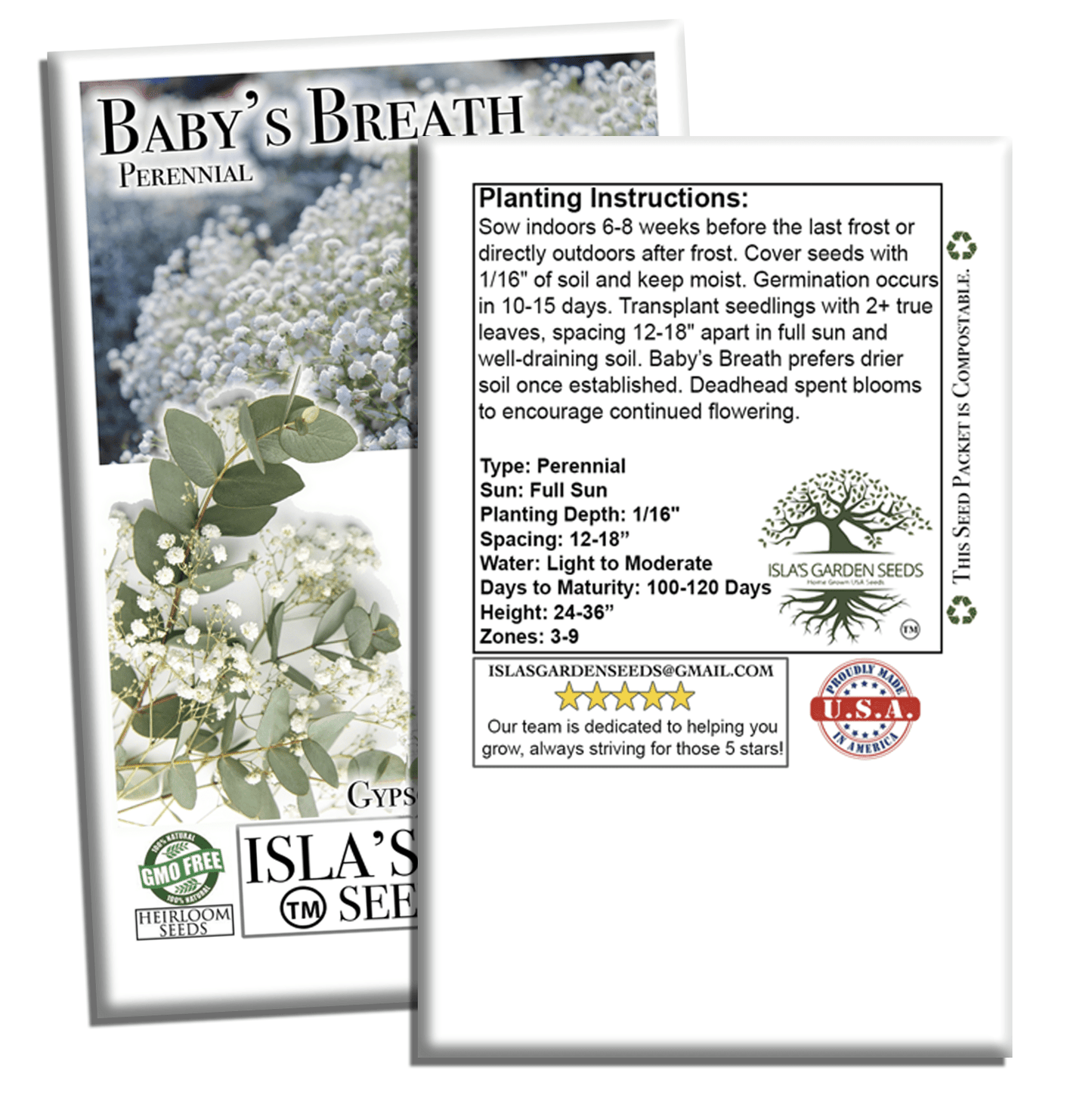 Baby’s Breath Flowers | 2000 Seeds/Pk