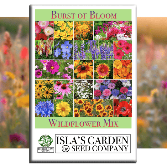 Burst of Bloom Wildflowers | 2500 Seeds/Pk