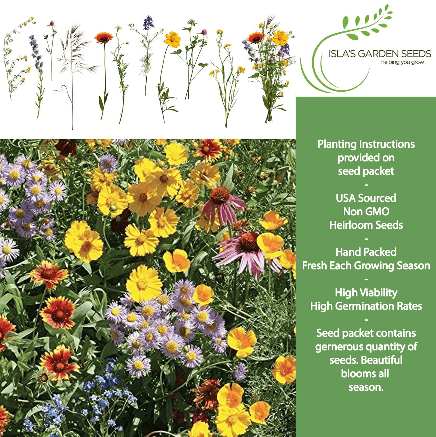 Burst of Bloom Wildflowers | 2500 Seeds/Pk