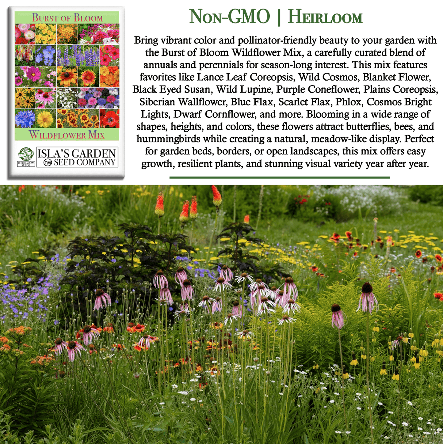 Burst of Bloom Wildflowers | 2500 Seeds/Pk