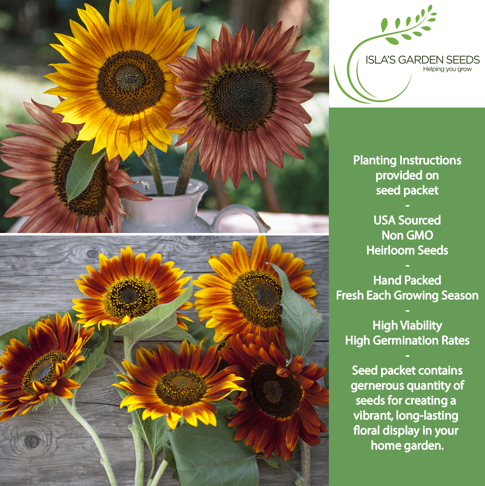 All Sorts Mix Sunflowers | 25 Seeds/Pk