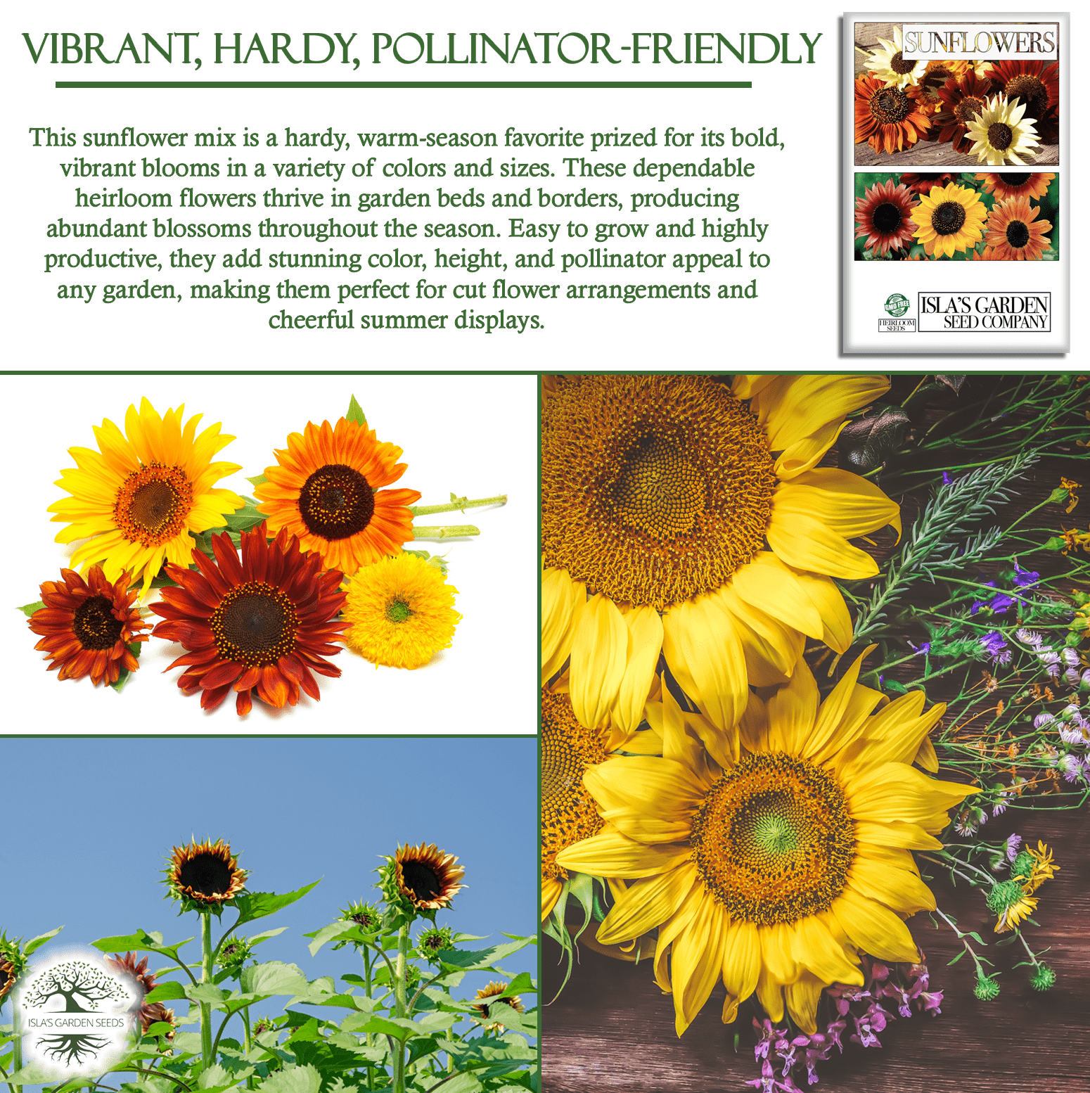 All Sorts Mix Sunflowers | 25 Seeds/Pk