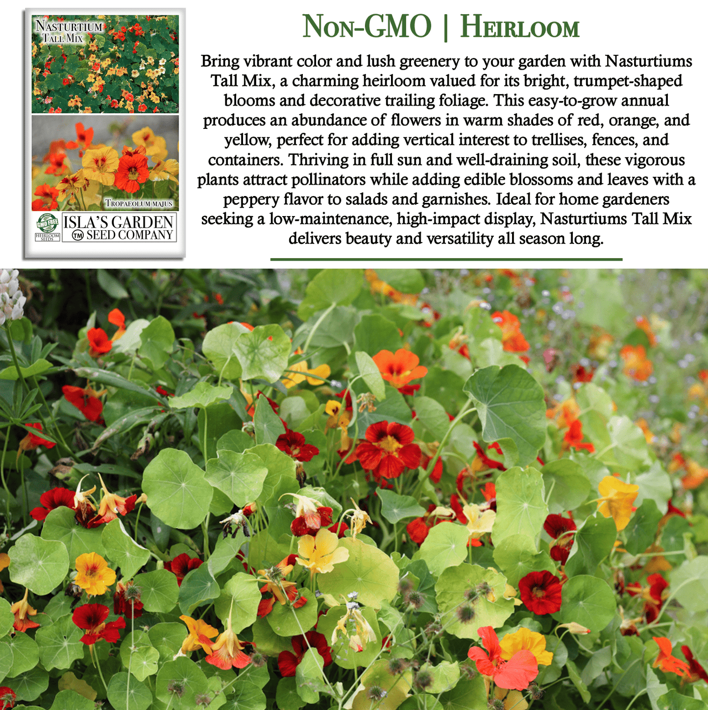 Nasturtium Tall Single Blend Flowers | 50 Seeds/Pk