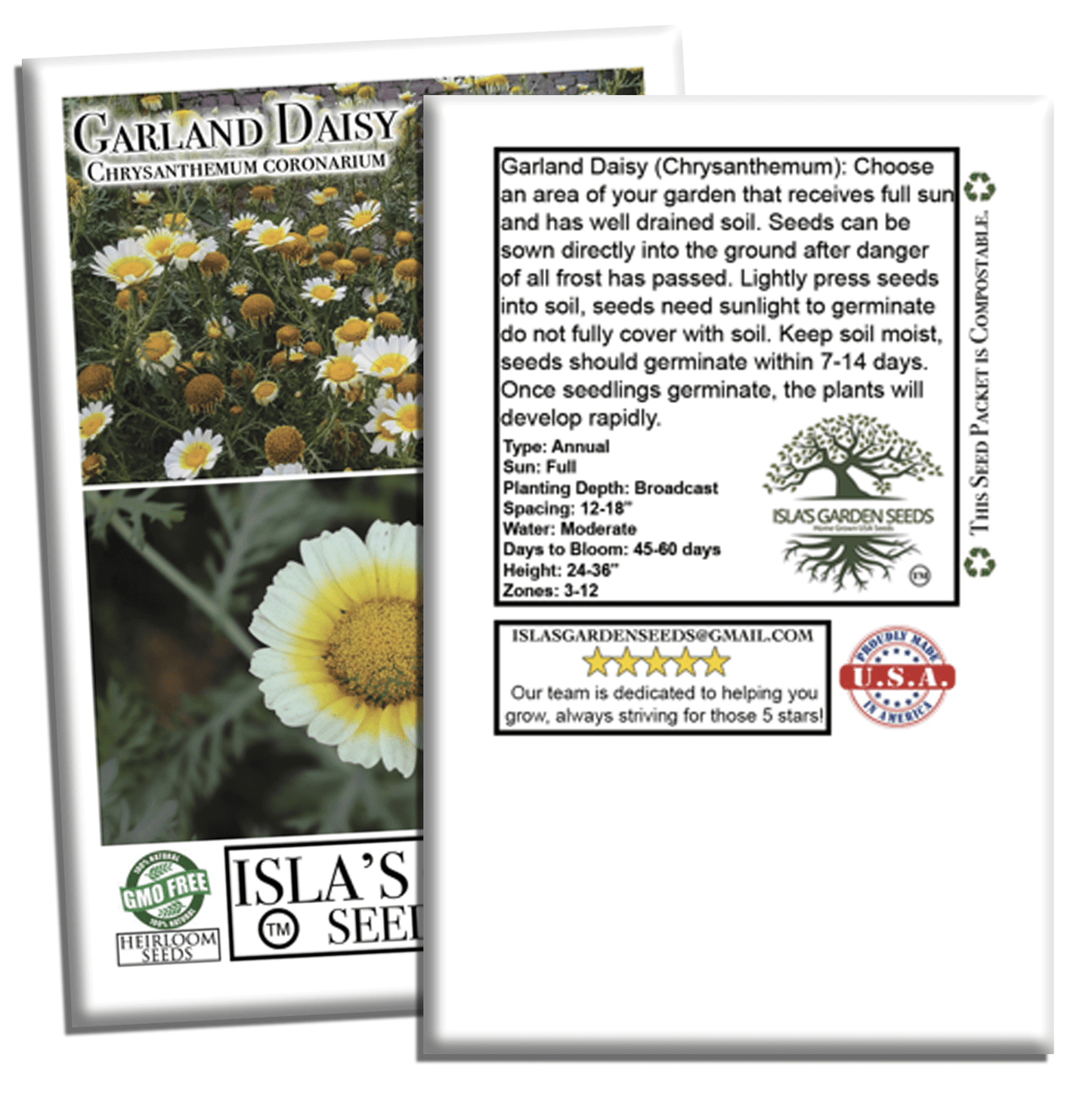 Chrysanthemum Flowers | 1500 Seeds/Pk