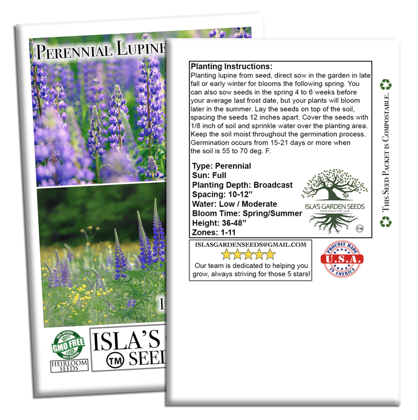 Perennial Lupine Flowers | 150 Seeds/Pk