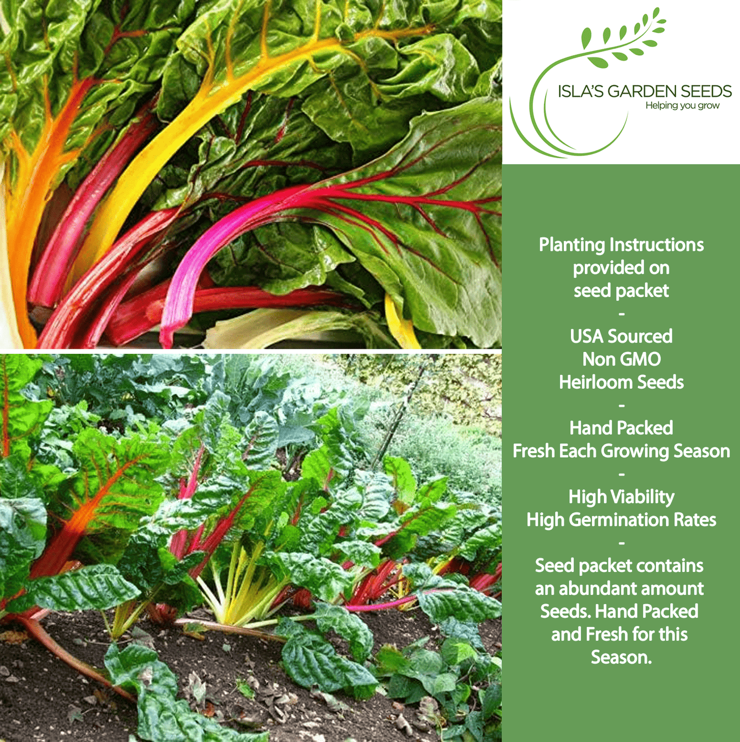 Swiss Chard Rainbow | 300 Seeds/Pk