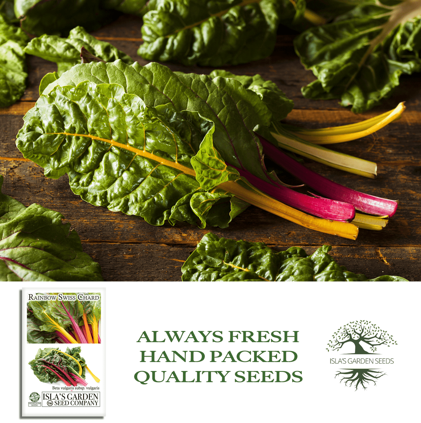 Swiss Chard Rainbow | 300 Seeds/Pk