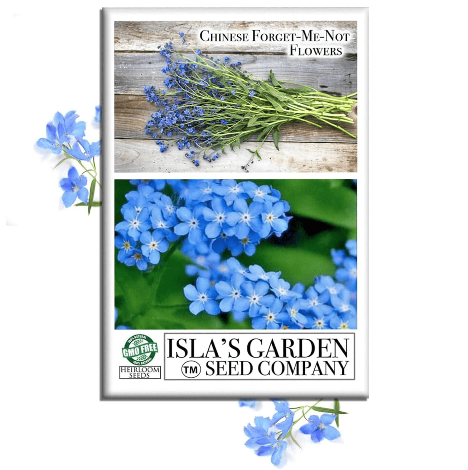 Chinese Forget-Me-Not Flowers | 300 Seeds/Pk – Isla's Garden