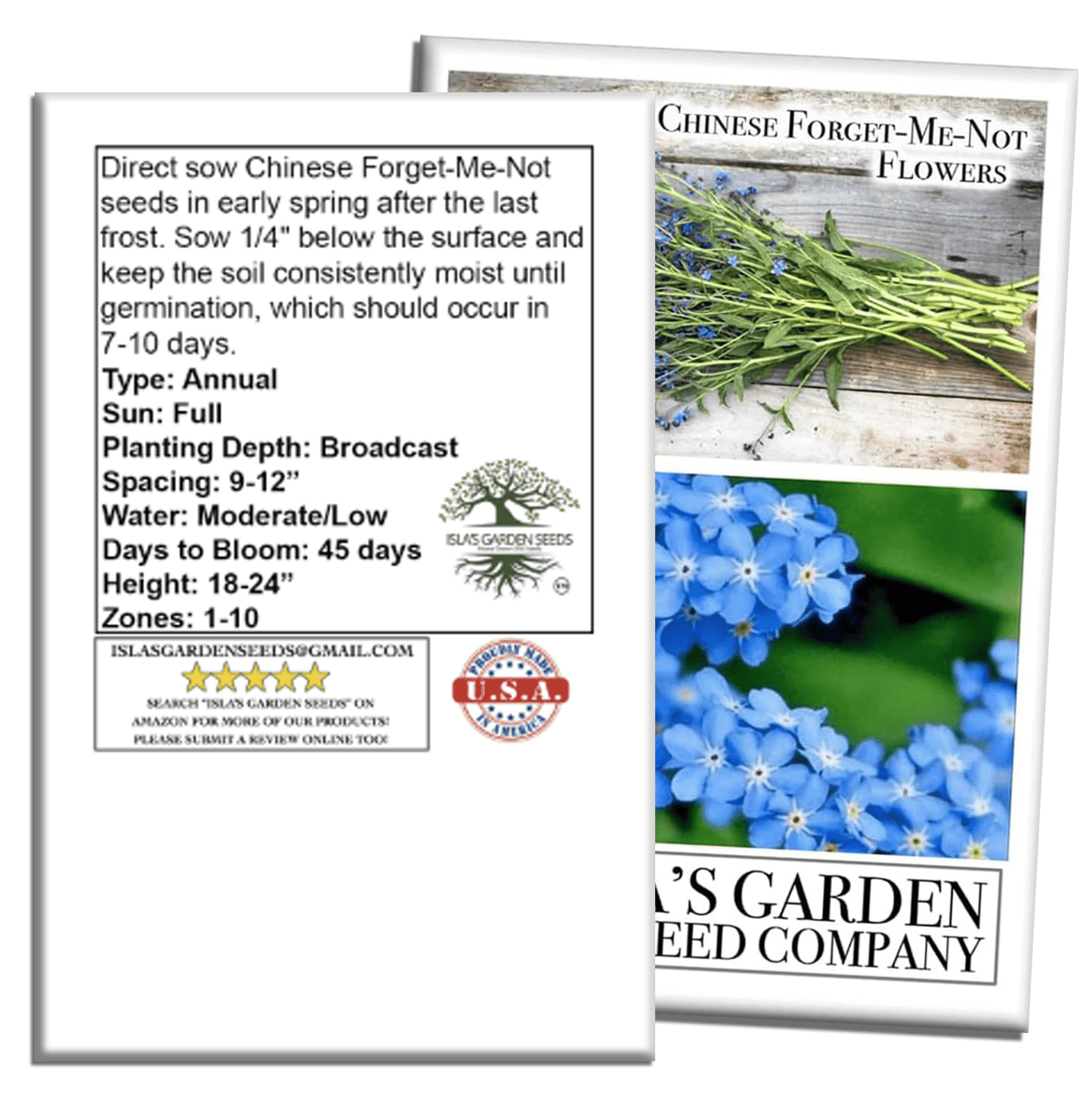 Chinese Forget-Me-Not Flowers | 300 Seeds/Pk