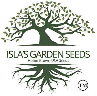 White Dixie Butter Pea Lima, 25 Heirloom Seeds Per Packet, Non GMO Seeds