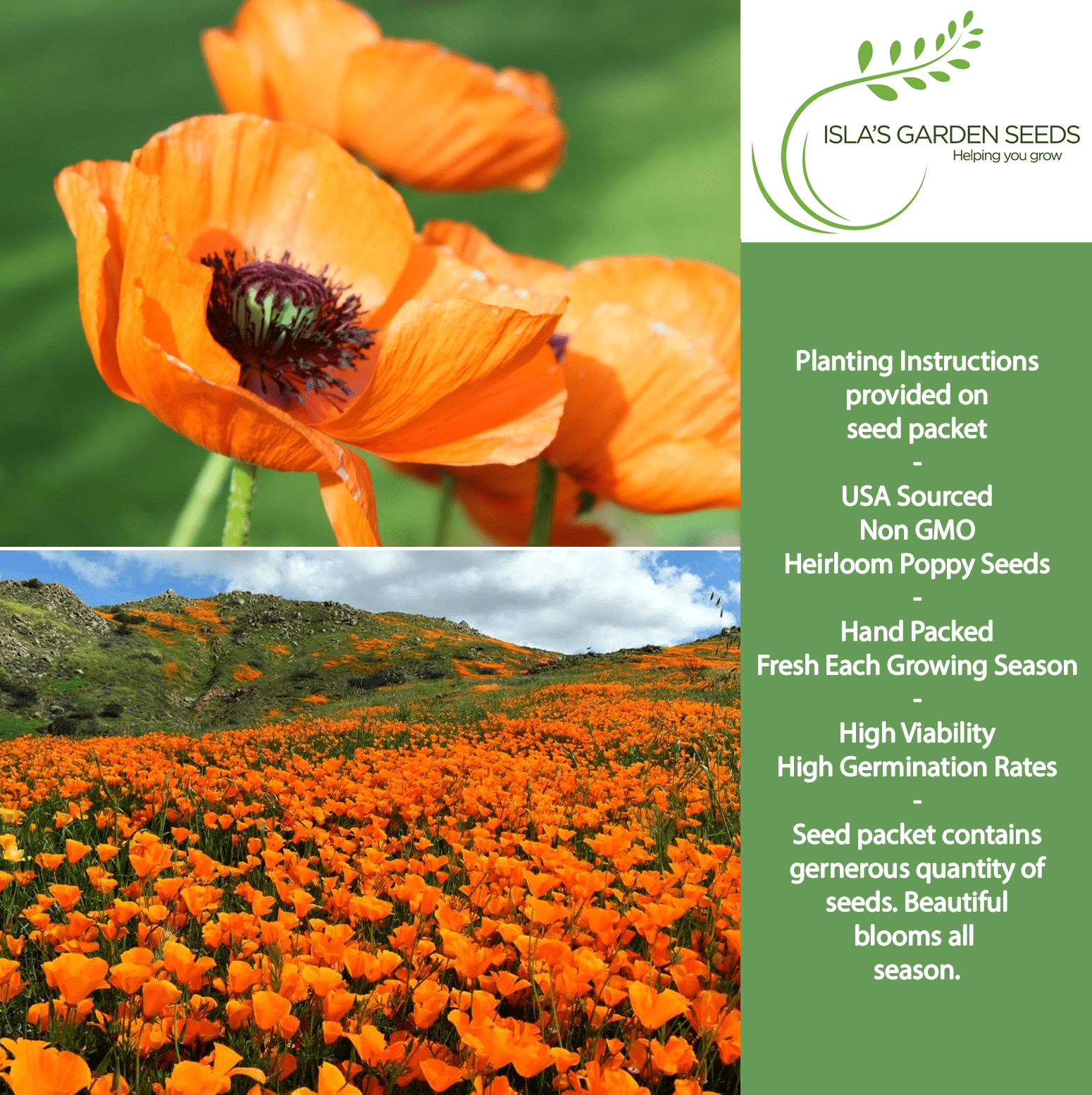 Orange California Poppy Seeds – 1500 Seeds/PK, Non-GMO Heirloom Wildflowers
