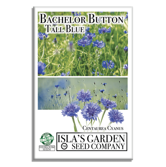 Bachelor Button Tall Blue Cornflowers | 200 Seeds/Pk