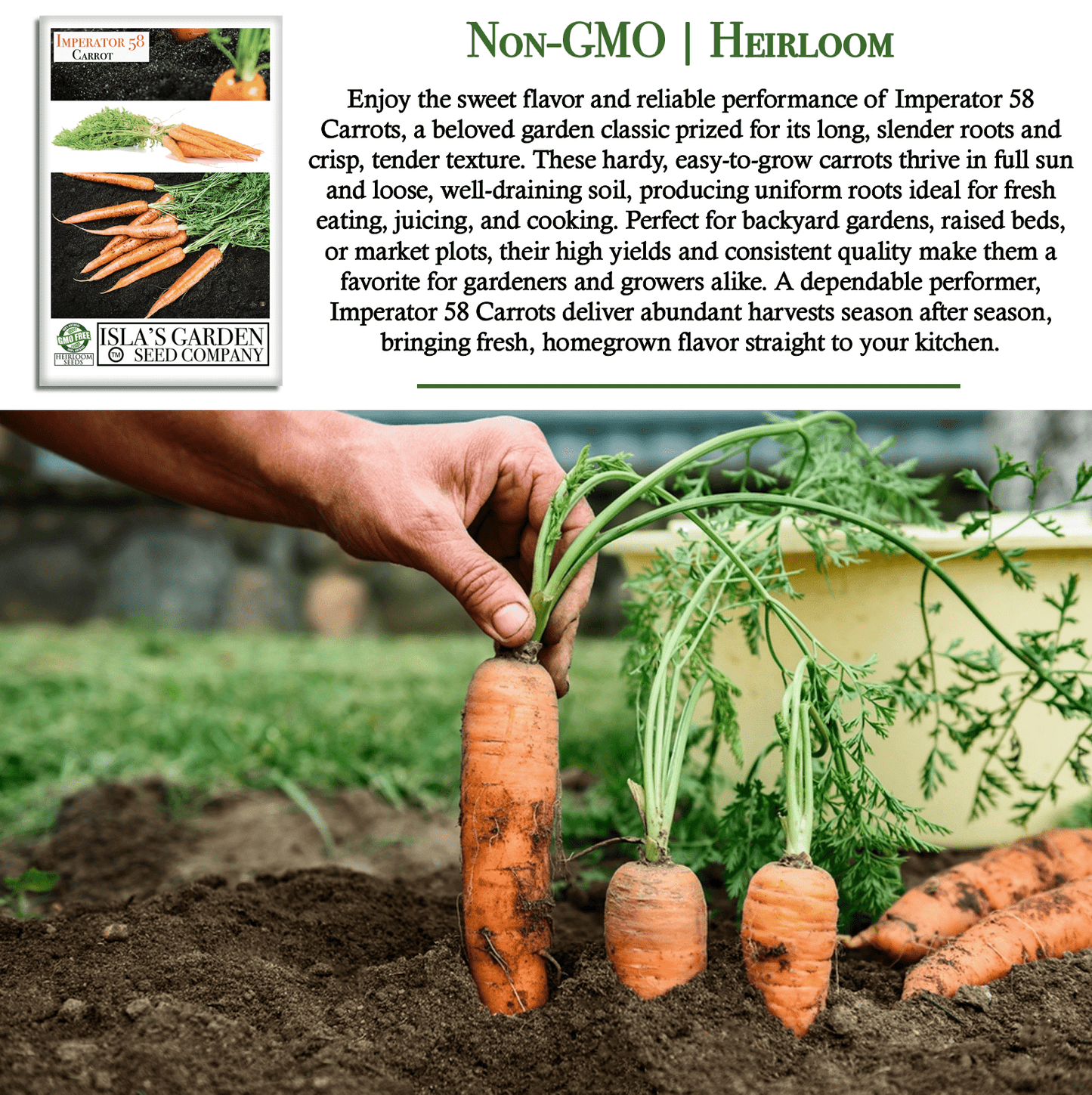 Imperator 58 Carrots | 400 Seeds/Pk