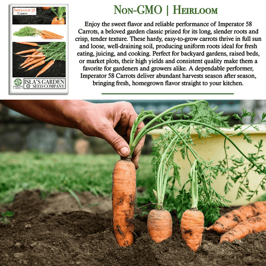 Imperator 58 Carrots | 400 Seeds/Pk