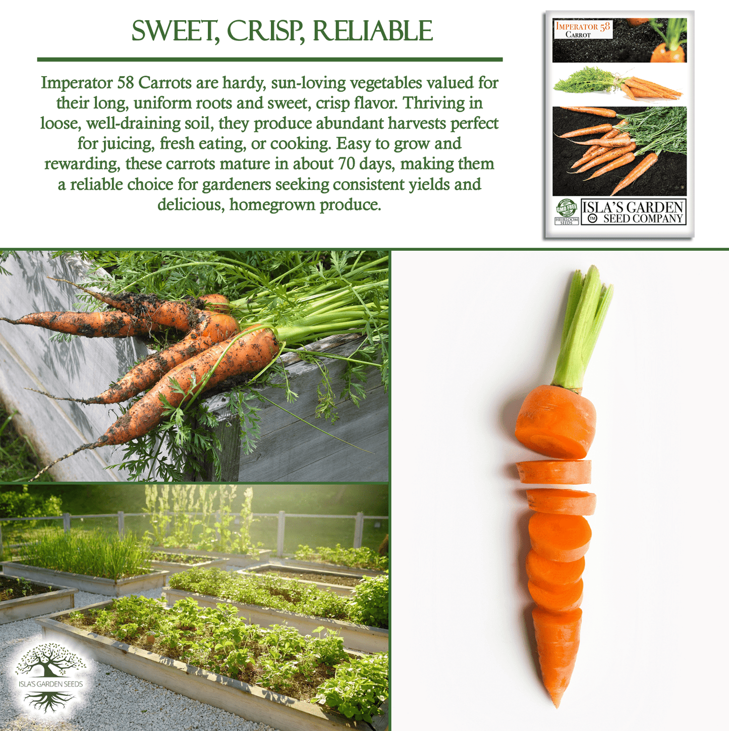 Imperator 58 Carrots | 400 Seeds/Pk