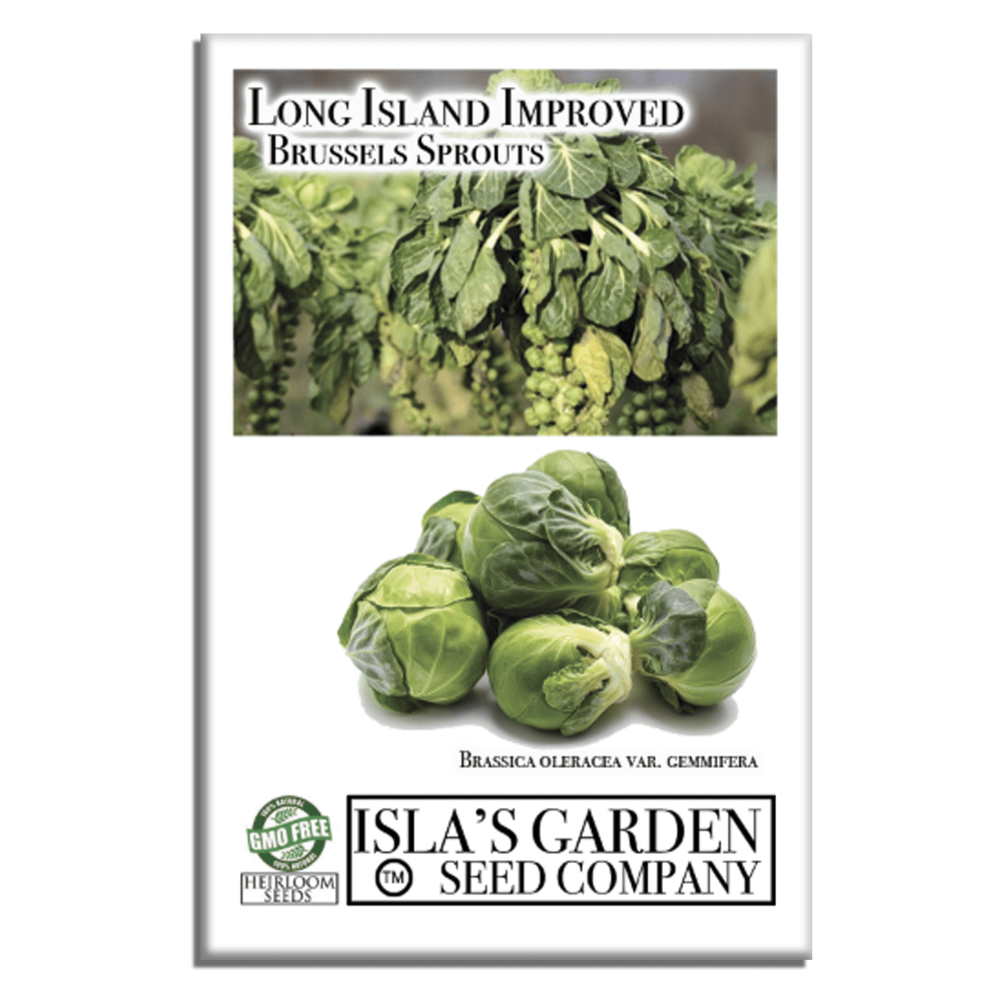 Long Island Improved Brussels Sprouts | 200 Seeds/Pk