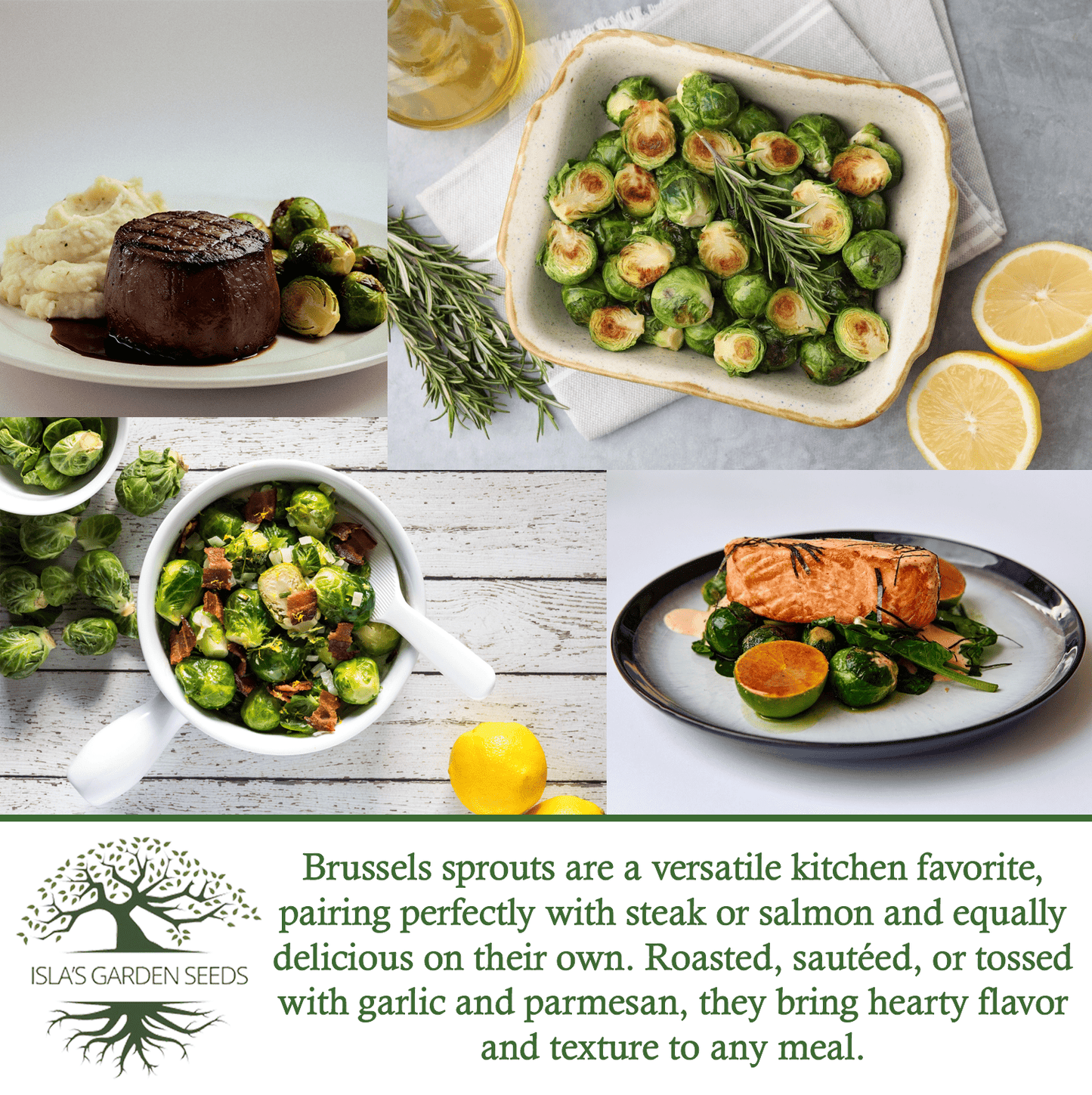 Long Island Improved Brussels Sprouts | 200 Seeds/Pk