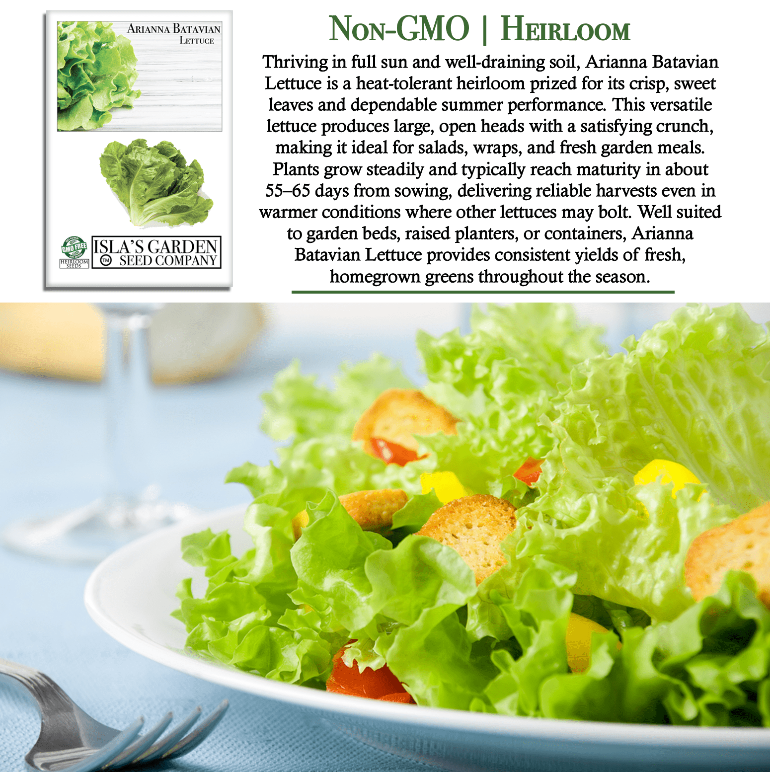 Arianna Romaine Batavian Lettuce | 1000 Seeds/Pk