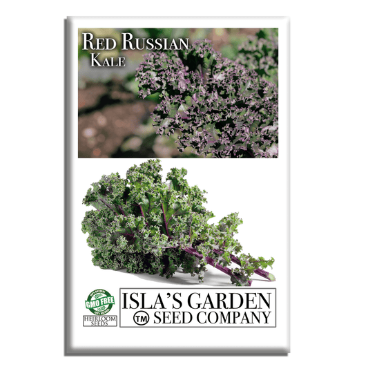 Red Russian Kale | 750 Seeds/Pk