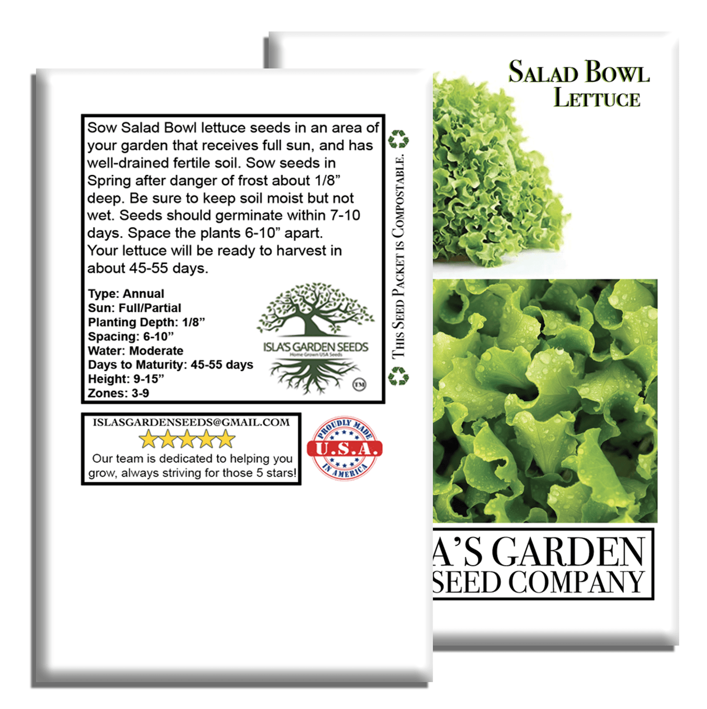 Salad Bowl Lettuce | 1000 Seeds/Pk