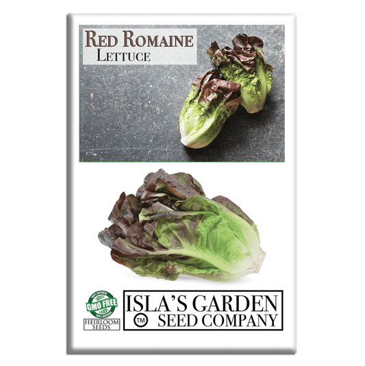 Red Romaine Lettuce | 1000 Seeds/Pk