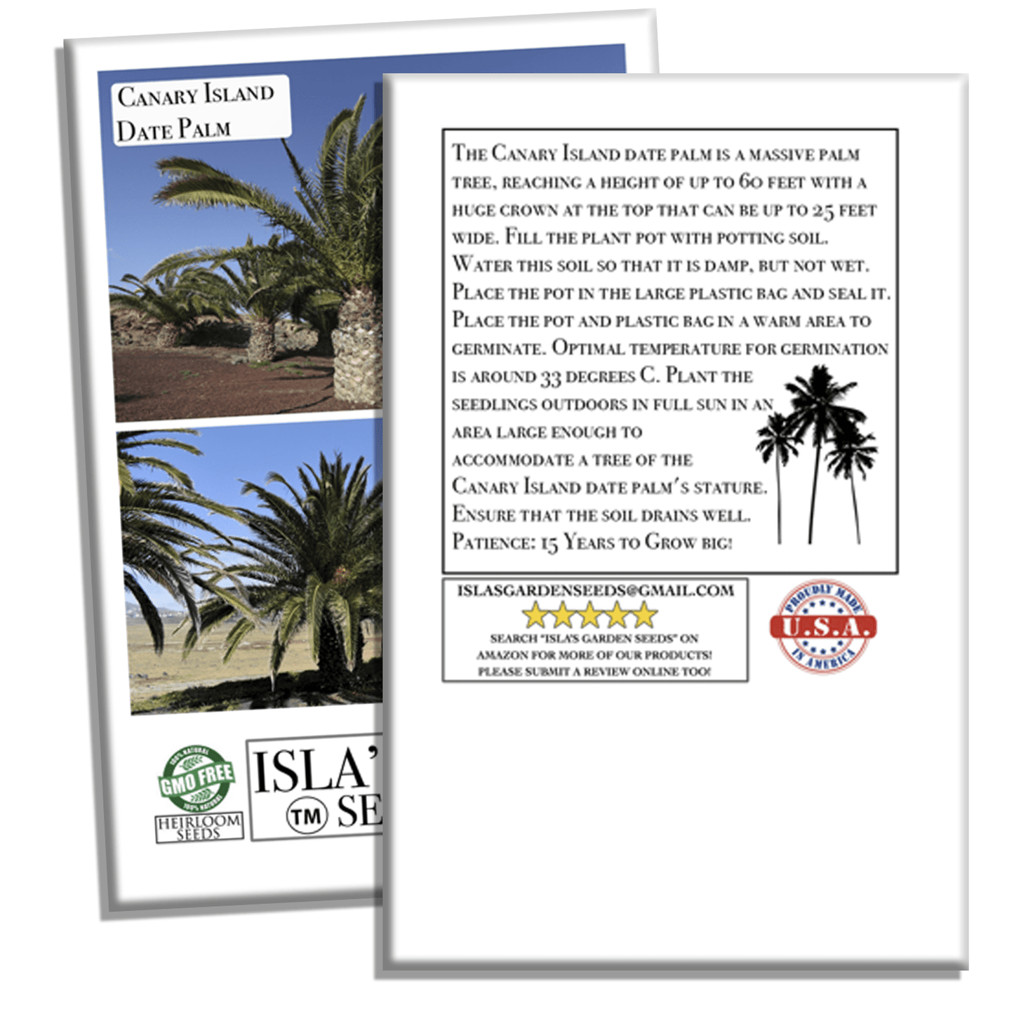 Canary Island Date Palm Tree Seeds, 15 Seeds/Pk