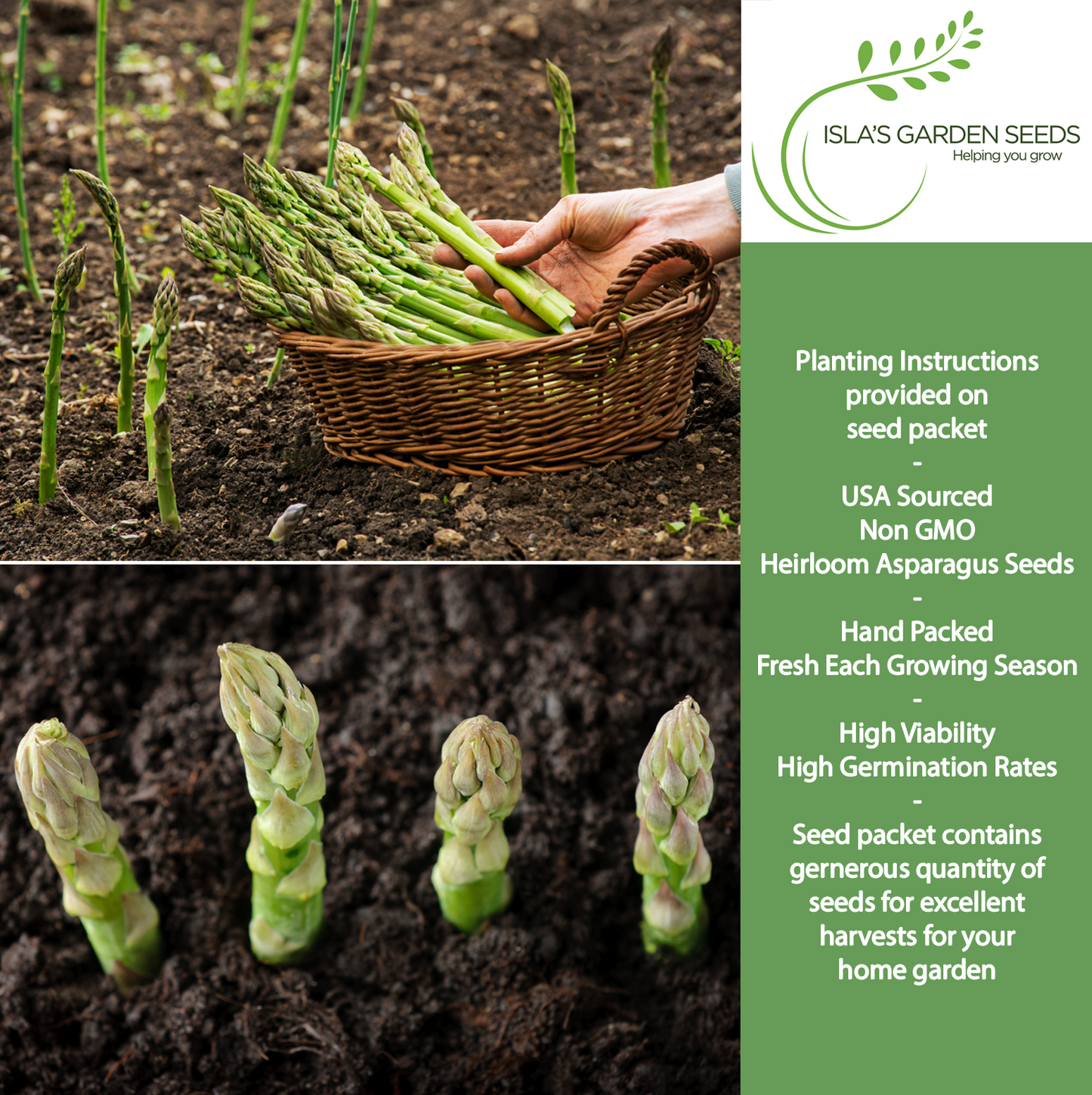 Mary Washington Asparagus | 125 Seeds/Pk