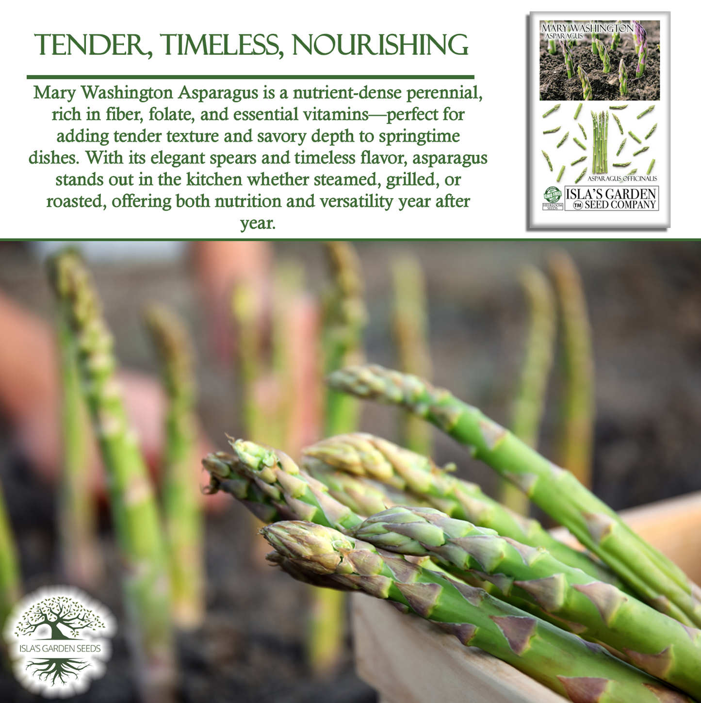 Mary Washington Asparagus | 125 Seeds/Pk
