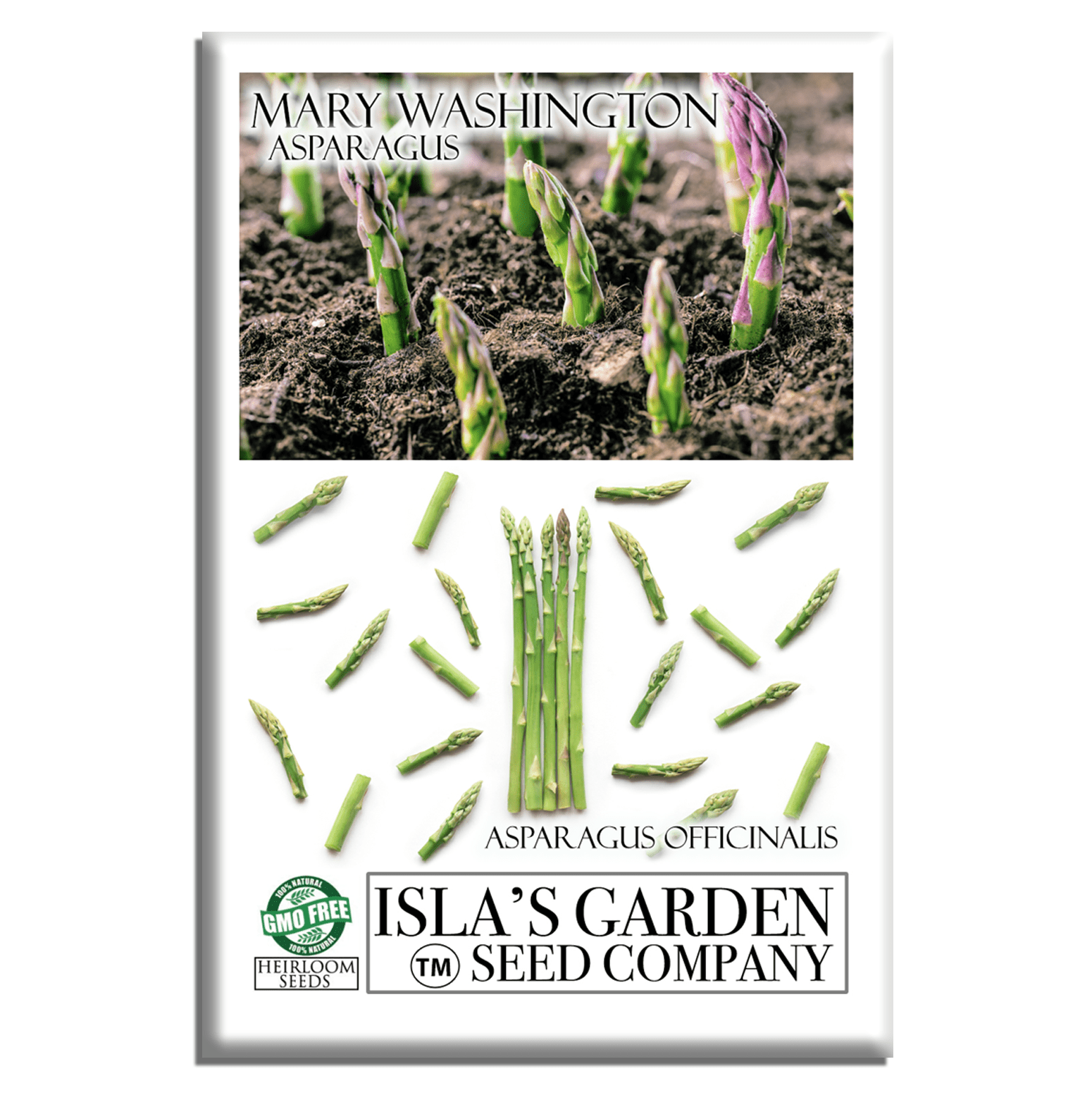 plant asparagus seeds Mary Washington Asparagus