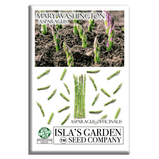 Mary Washington Asparagus | 125 Seeds/Pk