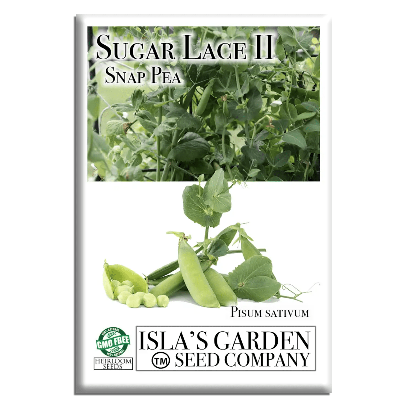 Sugar Lace II Snap Pea Seeds, 50 Heirloom Seeds Per Packet, Non GMO Seeds, Botanical Name: Pisum sativum, Islas Garden Seeds