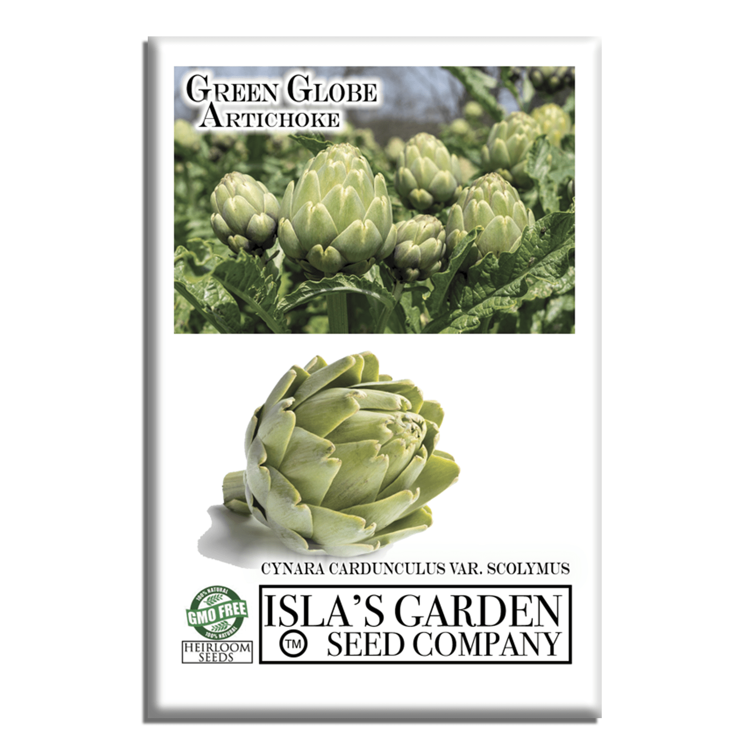 plant artichoke seeds Green Globe Artichoke Seeds, 50 Heirloom Seeds Per Packet, Non GMO Seeds