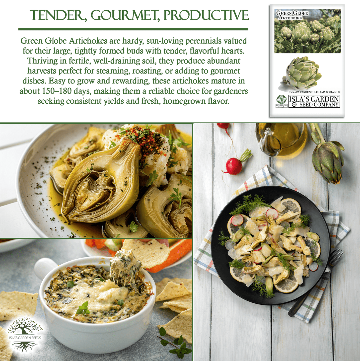 Green Globe Artichoke | 50 Seeds/Pk